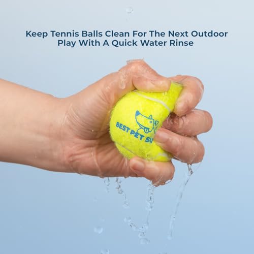 Interactive Squeaky Dog Chew Toy (Tennis (Yellow) / Small)