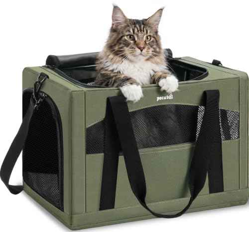 Cat Carrier Stable (Green / 19.6"L x 14.9"W x 13.7"H)