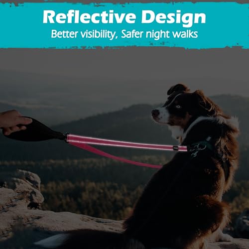Two Point Control Dog Leash (Pink)