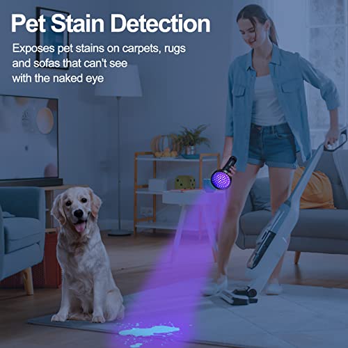 Black Light UV Flashlights