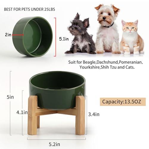 Raised Elevated 15°Slanted Ceramic Dog Bowl for Small Breeds (Rust Green / 1.7 CUPS - Puppy/Small Dogs & Cat Bowls)