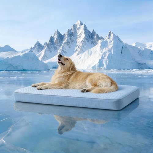 Cooling Dog Bed for Large Dogs (Blue / XX-Large-47"x 29" x 3.5")