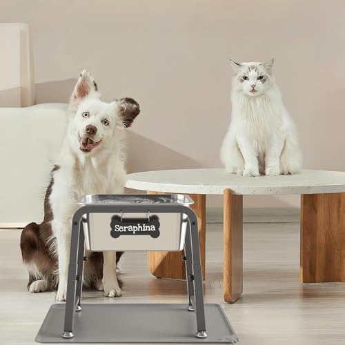 2.8 Gallon Elevated Large Dog Water Bowl with Mat (Grey-2.8 gal & mat / Height: 10.4-15.2")