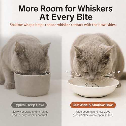 Non Slip Cat Food Bowls (white-B)