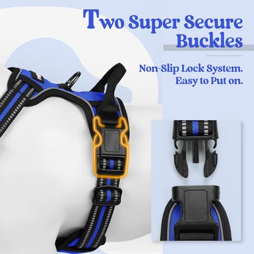 Dog Harness No Pull for Large Dogs with 2 Leash Clips (X-Large / Dazzling Blue)