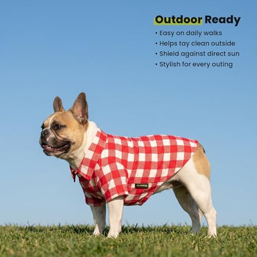 Gingham Plaid Dog Shirt (Small / Red)