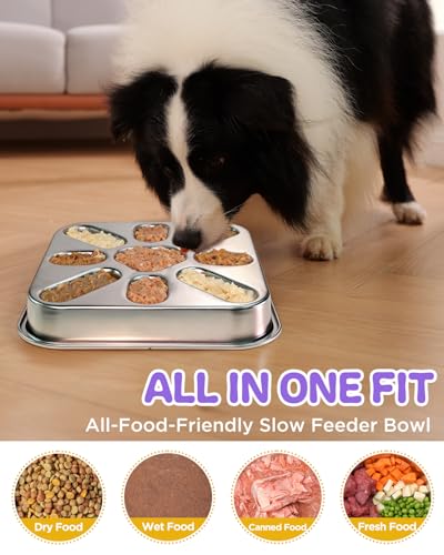 2 Pack Slow Feeder Dog Bowls with Non (2.5 Cup 2 Pack)