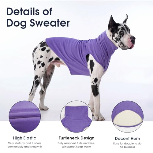 Small Dog Sweater (Medium / Purple)