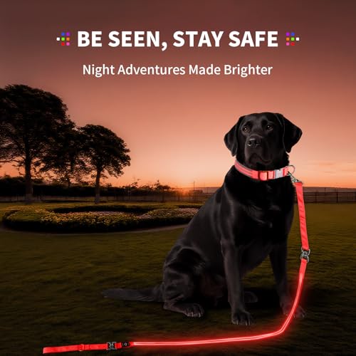 LED Dog Leash (Red / 6 feet)