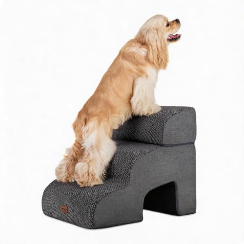 Dog Stairs with Tunnel