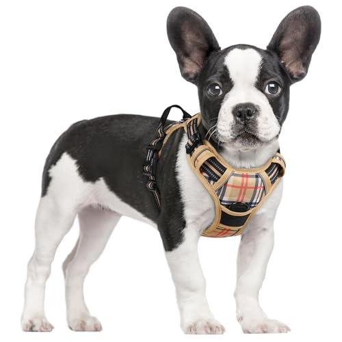 Dog Harness No Pull for Small Dogs with 2 Leash Clips (Small / Beige Plaid)