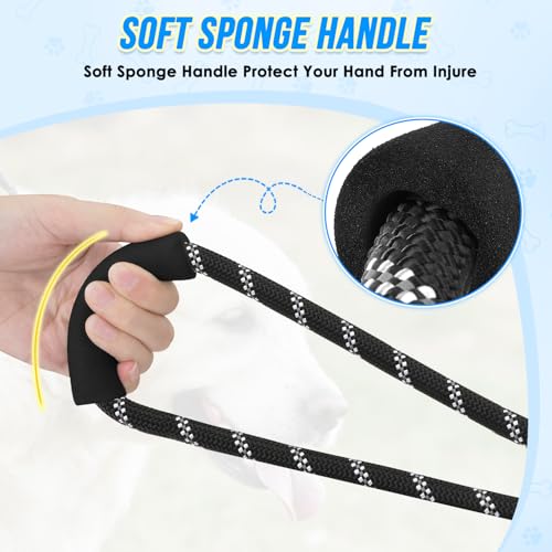 Hands Free Dog Leash (Black)