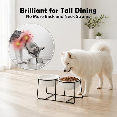 Ceramic Elevated Dog Bowl Set (Matte White / XL × 2)