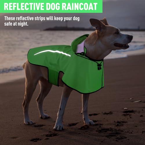 Dog Raincoat with Removable Hoodie (X-Large / Green)