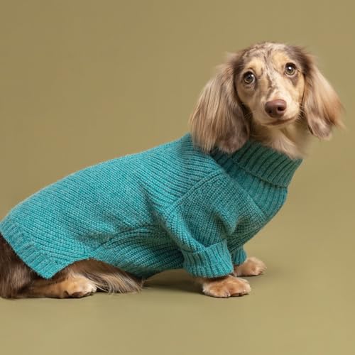 Turtleneck Dog Knitted Sweater (X-Small / Steel Blue)