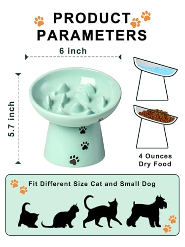 Slow Feeder Cat Bowl (Green)