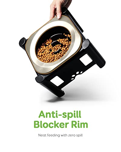 Elevated Slow Feeder Bowls (Black)