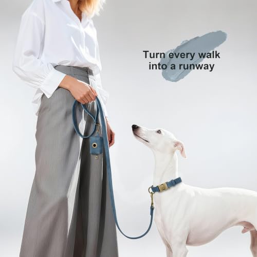 PU Leather Dog Leash for Medium Large Dogs (Blue / 3/4''x 5FT)