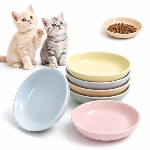Ceramic Cat Food Bowl Set (Solid - Separate Pads)