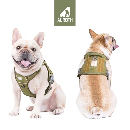 Dog Harness for Small Medium Dogs (Green / S(Neck:14-21",Chest:20-31"),18-35 lbs)