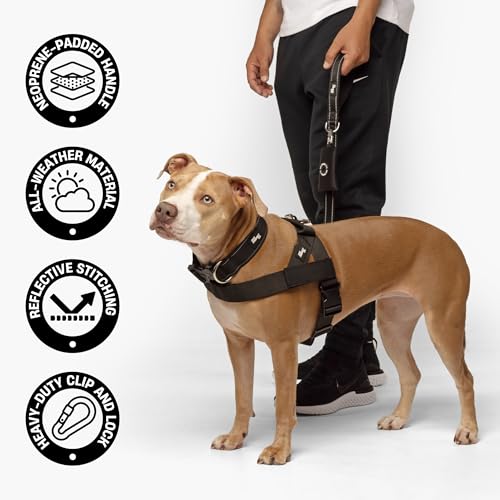 Classic Dog Leash (Grey Camo / Small)