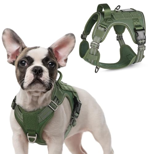 Tactical Dog Harness for Small (Green / Small)