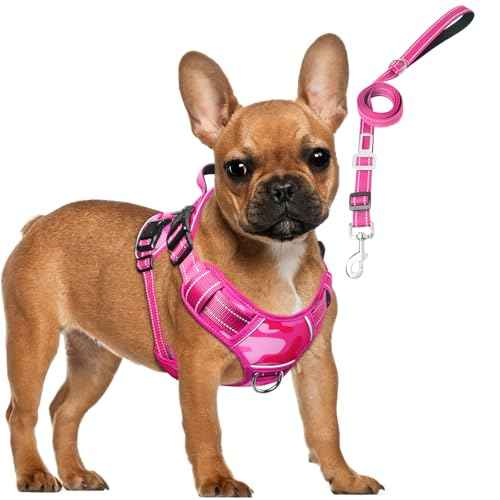 Tactical Service Dog Vest and Leash Set with 10 Patches Camo Pink S (Small / Camo Pink)