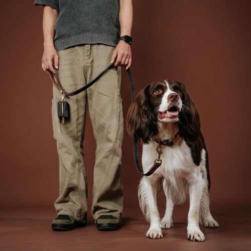 PU Leather Dog Leash for Medium Dogs (Black / 3/4''x 5FT)