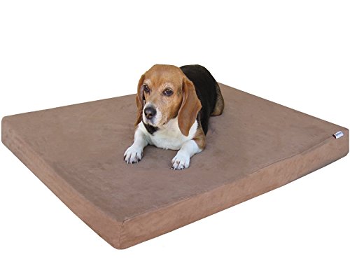 Waterproof Memory Foam Dog Bed for Medium Dogs with Washable Cover and Extra Pet Bed Case 37X27X4 Inch (37X27X4 Inch Medium Large / MicroSuede in Brown)