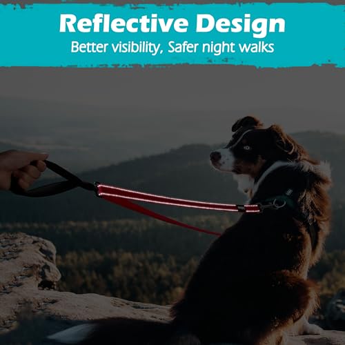 Two Point Control Dog Leash (Red)