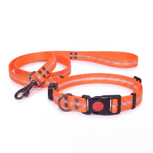 LED Dog Collar & 4 Foot Leash (Orange)