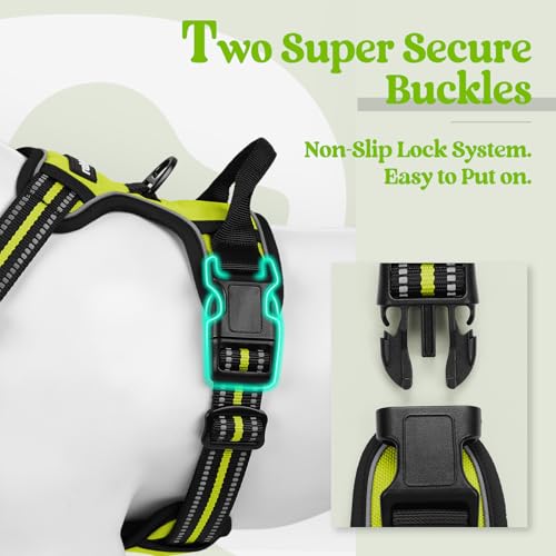 Dog Harness No Pull for Large Dogs with 2 Leash Clips (X-Large / Wild Lime)