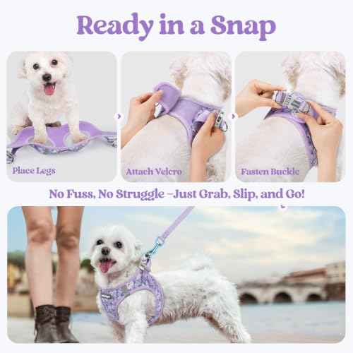 Dog Harness Medium Sized and Leash Set (Lavender Floral / M (chest: 16 - 18.5"))