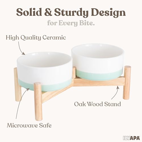 Elevated Ceramic Dog Bowls (Green)