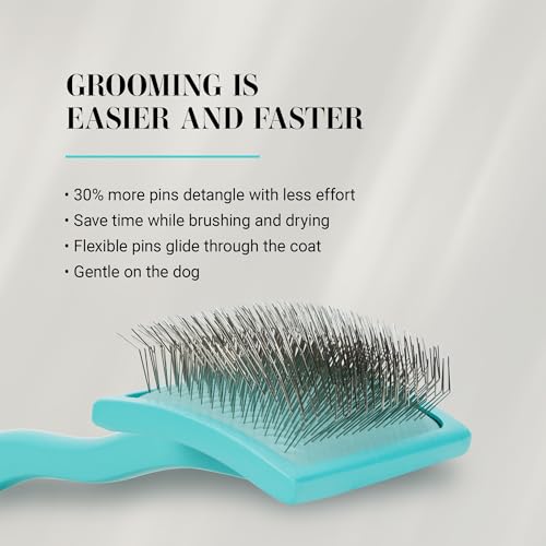 Big G Dog Slicker Brush for Dogs (Large / Teal)