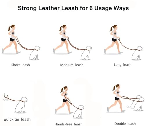 Leather Dog Leash 8ft (Black / 8ft*5/8inch)