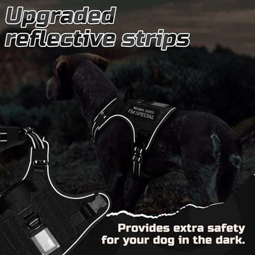 Tactical Dog Harness for Small (Black / Small)