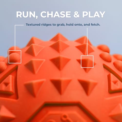 Interactive Squeaky Dog Chew Toy (Spiky Ball (Blue, Orange) / Large)