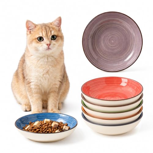 Colorful Ceramic Cat Bowls Set (color 1)