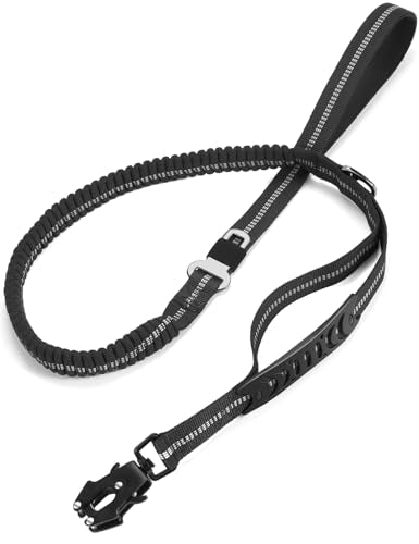 Heavy Duty Dog Leash (Black)