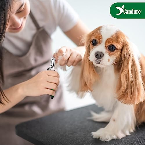 Dog Nail Clippers Professional Pet Nail Clipper Suitable for Cats (Green / Medium to Small pets)