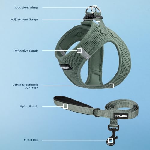 Voyager Step in Air All Weather Mesh Harness and Reflective Dog 5ft Leash Combo with Neoprene Handle (Moss Green / XXS (Chest: 12 - 13.5"))