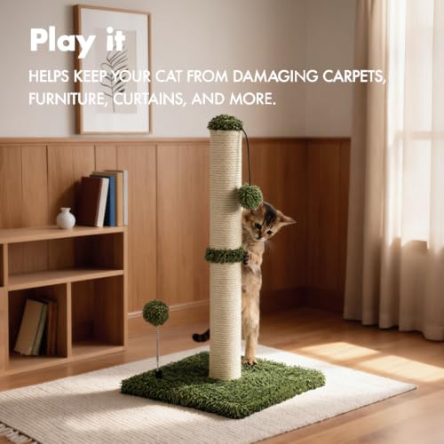 Cat Scratching Post Premium Basics Kitten Scratcher Sisal Scratch Posts with Hanging Ball 22in for Kittens or Smaller Cats (22 inches for kitten / Cactus Green)