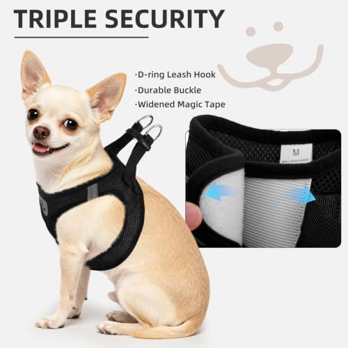 Dog Harness Collar and Leash Set No Pull for Small Medium Sized (Solid Black / M (CHEST 16"-18"))