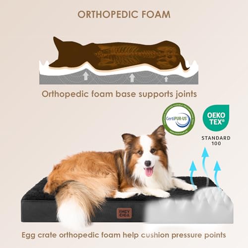 Orthopedic Dog Bed Large with Removable Washable Cover (41*27*3.5 inches / Black)