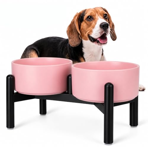 Raised Ceramic Dog Bowl Set with Stand (Pink / 2 Bowls - 3.5 Cups Each)