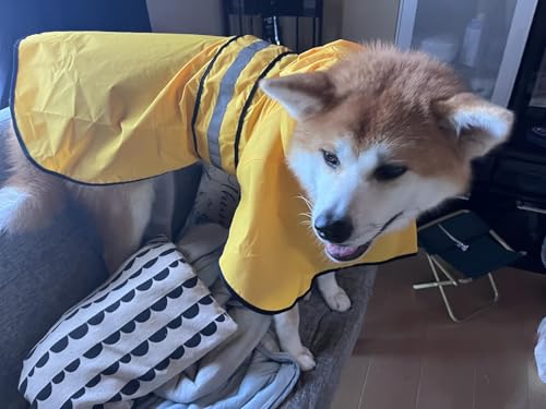 Hooded Dog Raincoat (Yellow / Small)