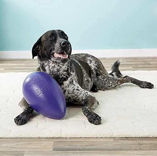 Jolly Egg Dog Toy (Large (12 in) / Purple)