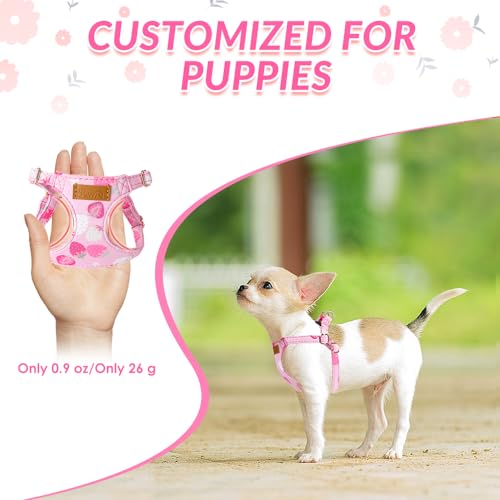 No Pull Dog Harness with Leash for Small Medium Dogs (Small(11-17.5lb) / Pink Strawberry)