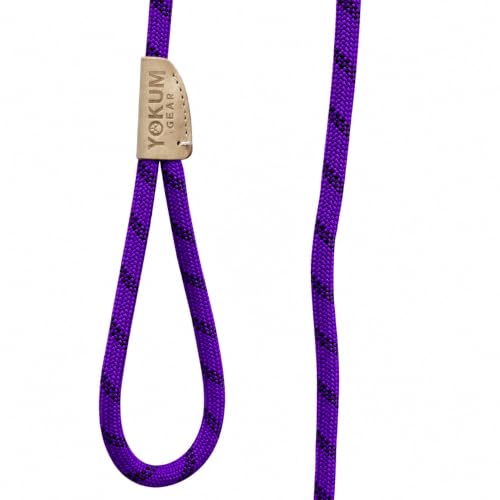 12ft No Pull No Choke Leash Long Rope Dog Leash (12 Ft / PURPLE)